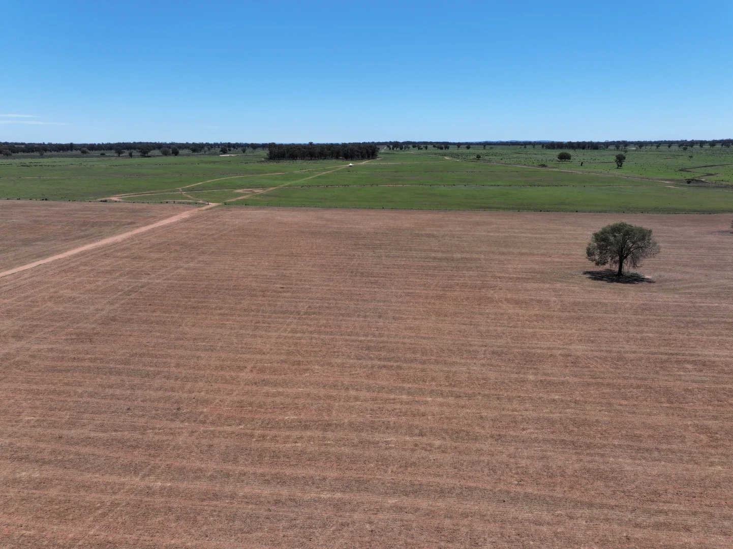 Additional image 3 of 'Mentone' 1521 Bruie Plains Road, Trundle NSW 2875
