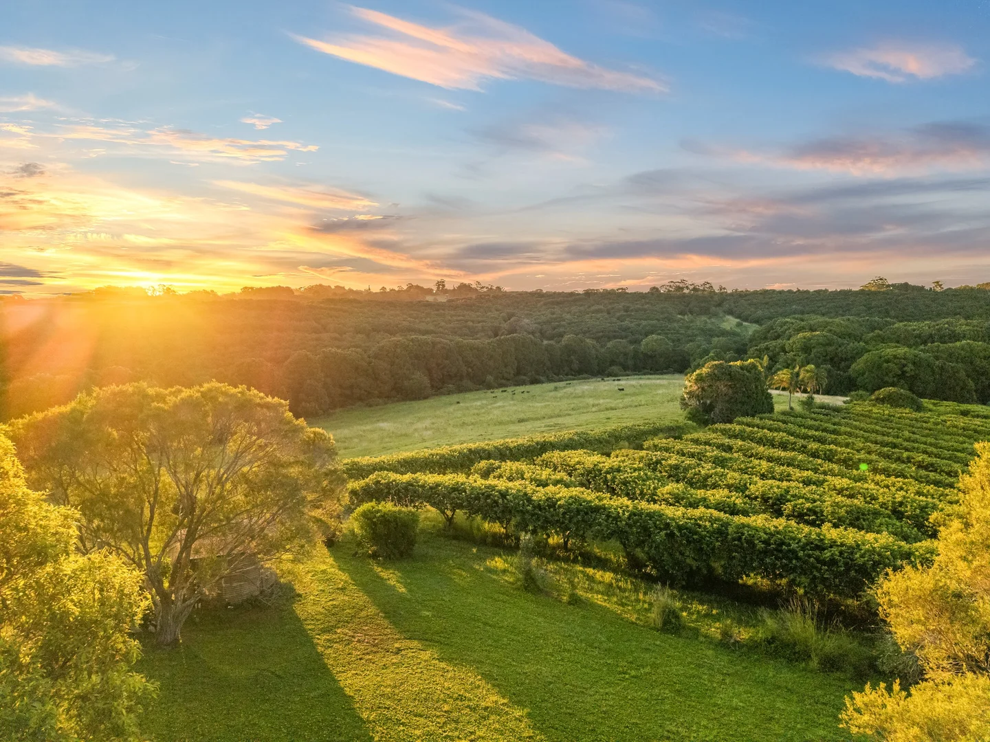 Additional image 3 of 617 Hinterland Way, Newrybar NSW 2479