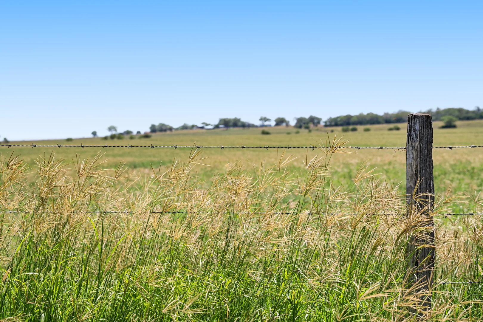 Additional image 33 of 'Ashby' 48 Felton View Road, Ellangowan QLD 4361