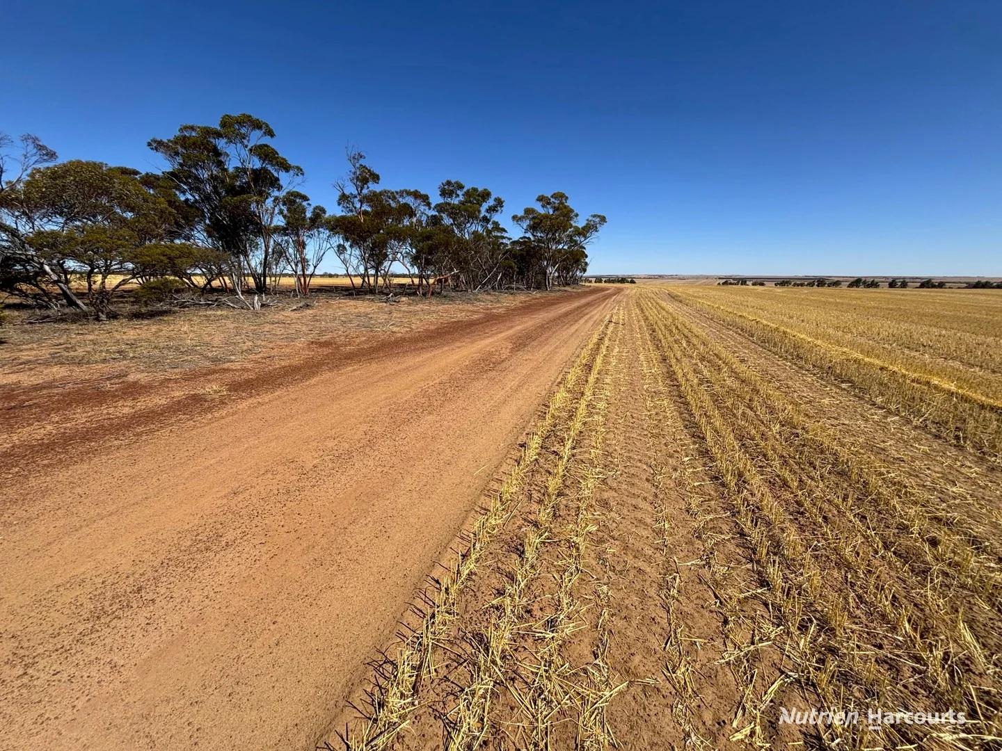 . 'Scotts', Yelbeni WA 6487