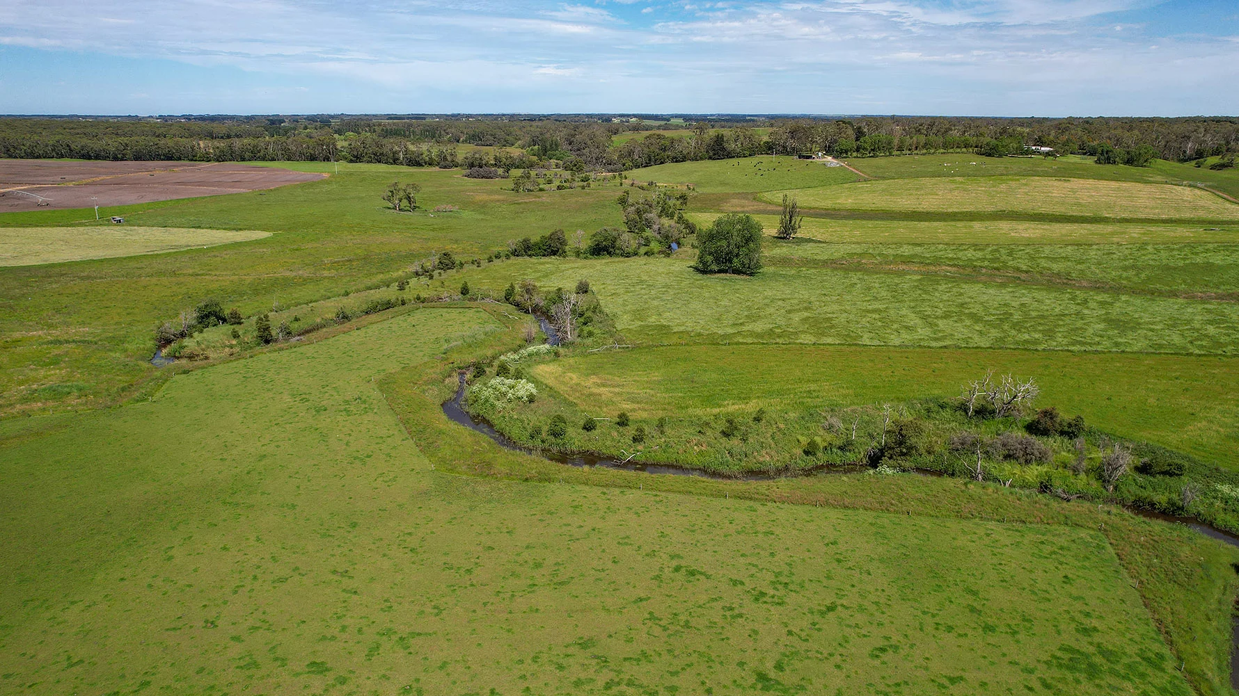 Additional image 38 of 335 Rollos Road, Panmure VIC 3265