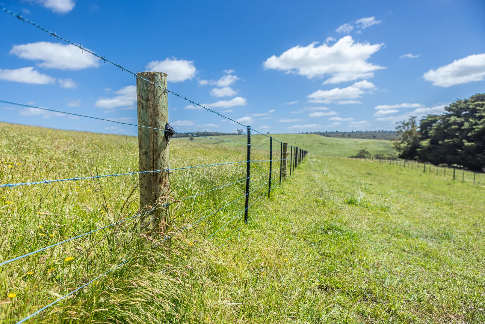 Additional image 13 of 1090 Six Chain Road, Killara VIC 3312