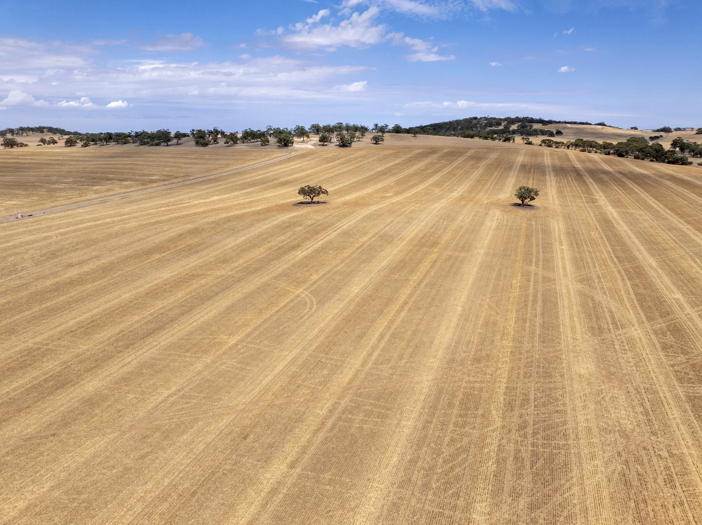 Additional image 30 of 'Merilden Feedlot' & 'Brads', Manoora SA 5414