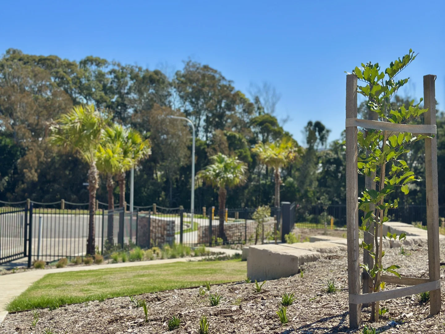 Additional image 4 of The Anchorage Way, Diamond Beach NSW 2430