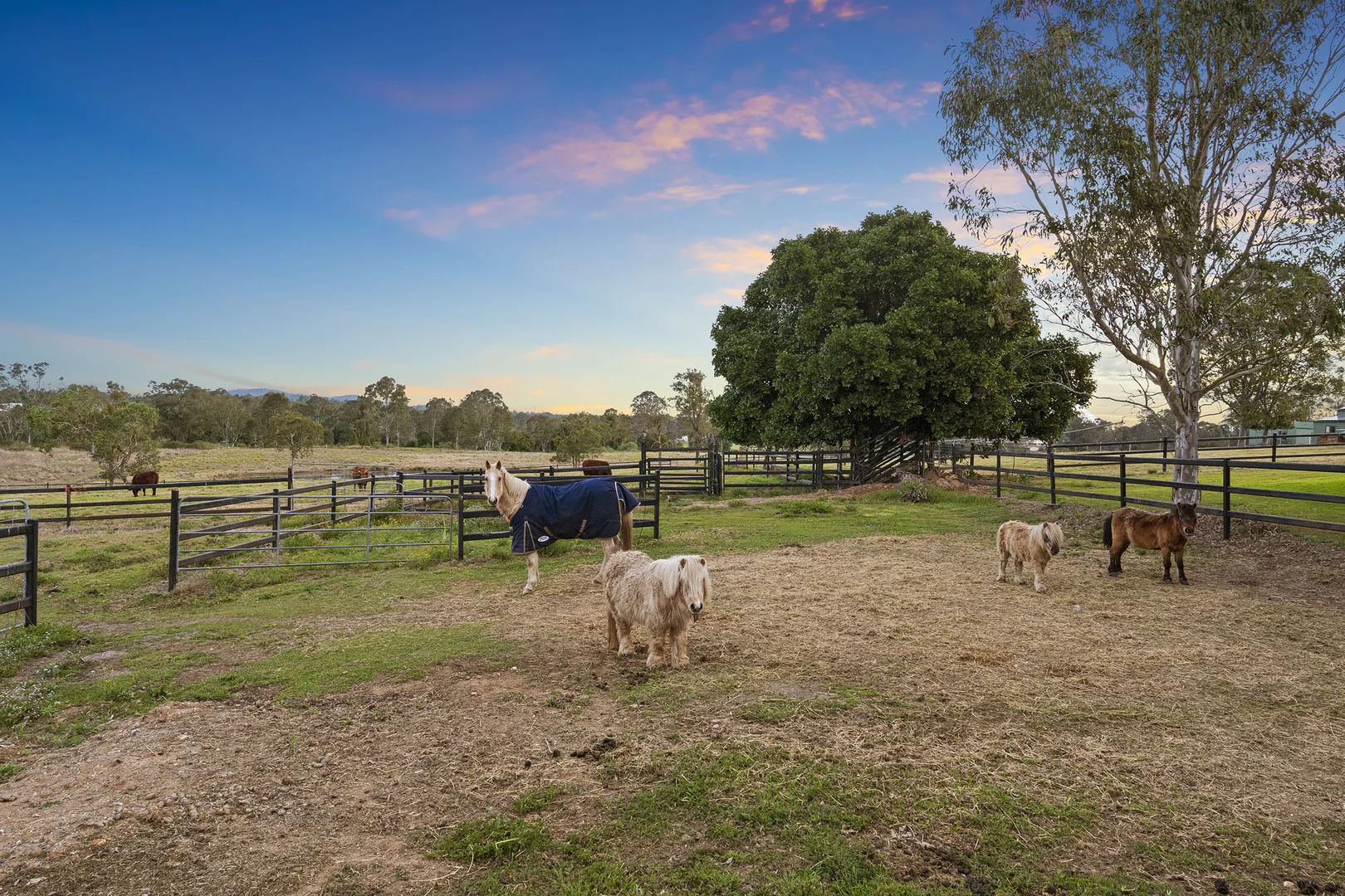 Additional image 23 of 171-187 Kenny Road, Chambers Flat QLD 4133