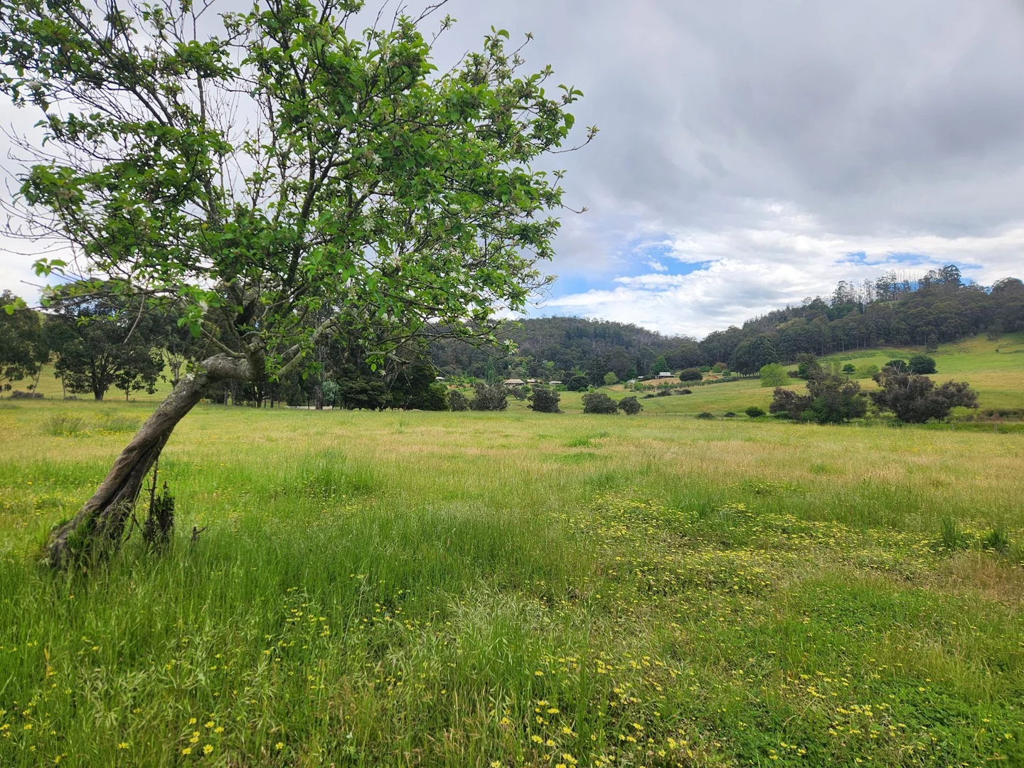 Additional image 15 of 21 Airstrip Rd, Balingup WA 6253