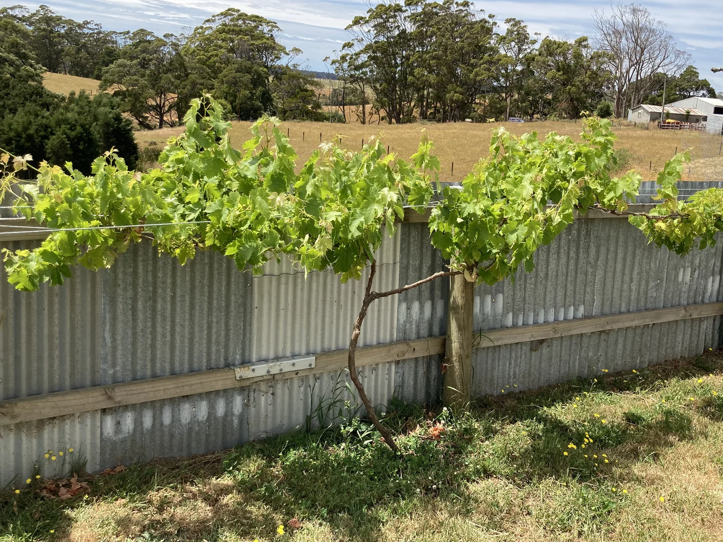 Additional image 32 of 211 Upper Scotchtown Road, Scotchtown TAS 7330