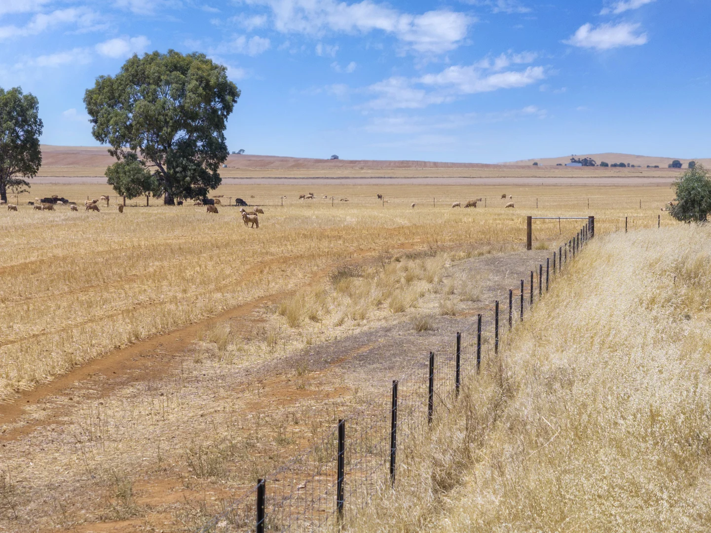 Additional image 8 of 'Klingers' Frost Road, Mannanarie SA 5422