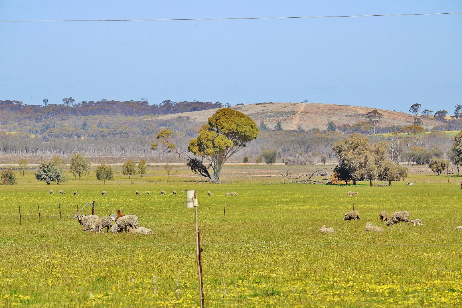 Additional image 26 of 256 WAGIN-DUMBLEYUNG ROAD, Wagin WA 6315