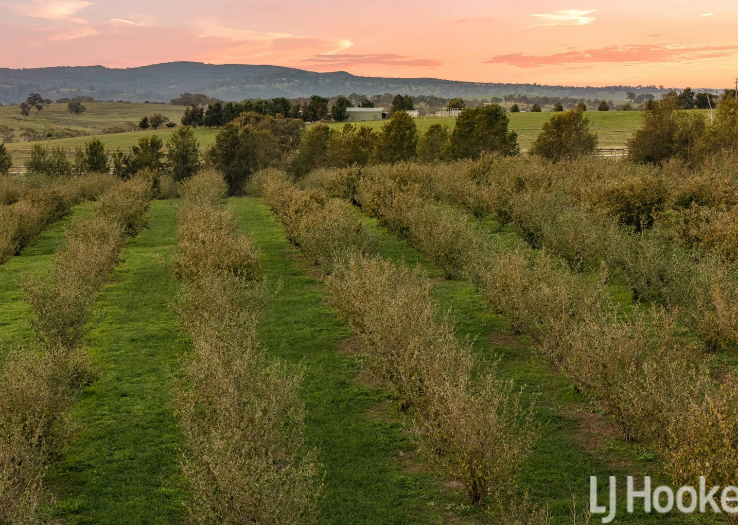 Additional image 5 of 59 Marion Close, Wimbledon NSW 2795