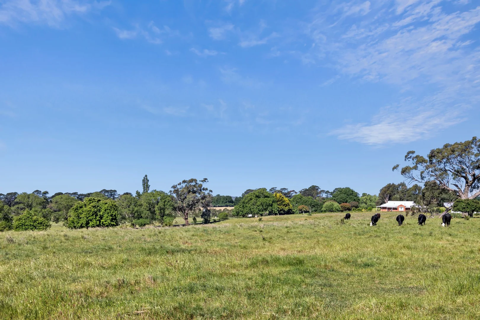 Additional image 8 of Burton Avenue, Kyneton VIC 3444