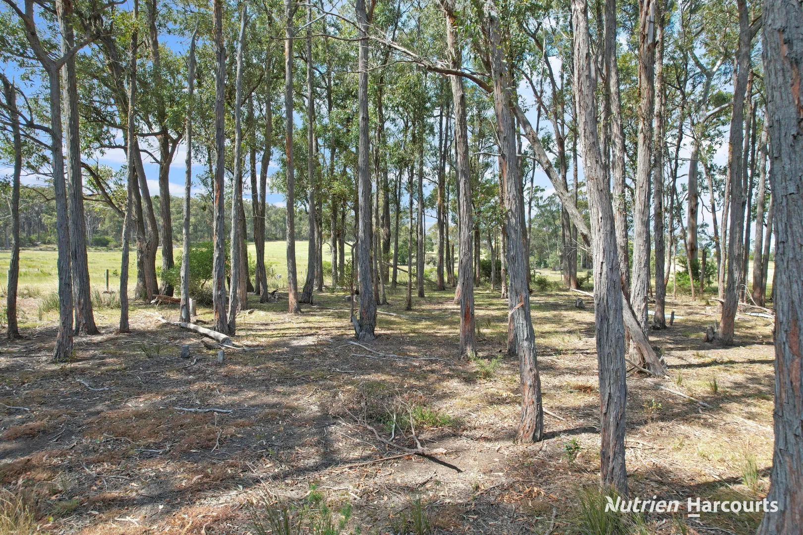 Additional image 13 of 5315 Hyland Highway, Won Wron VIC 3971