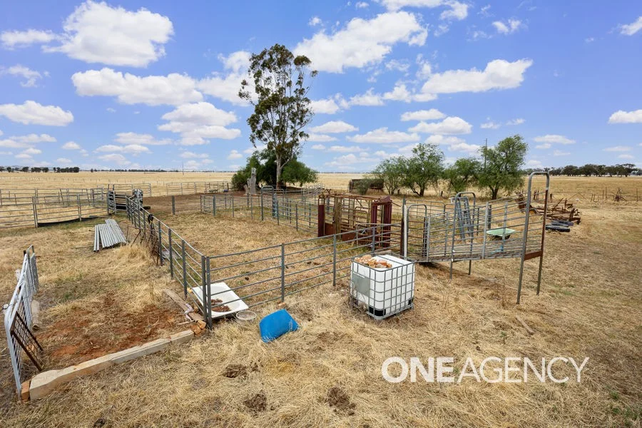 Additional image 23 of 268 ANDREWS ROAD, Brookdale NSW 2656