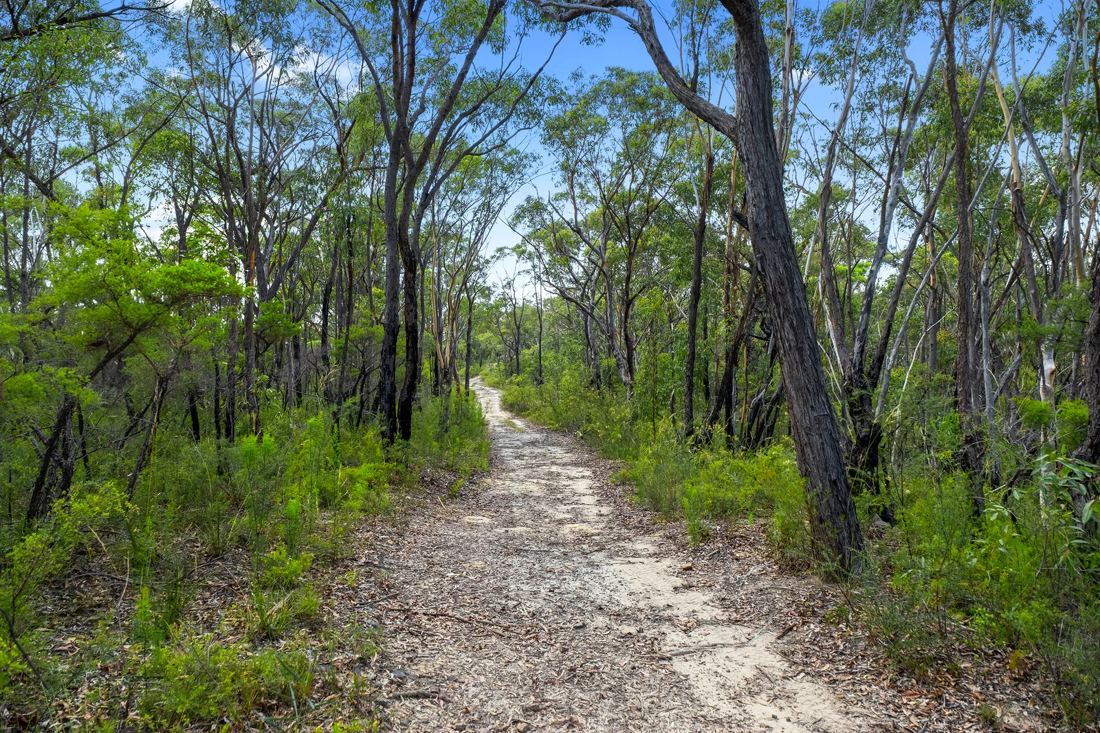 Additional image 7 of 3472 Old Northern Road, Glenorie NSW 2157