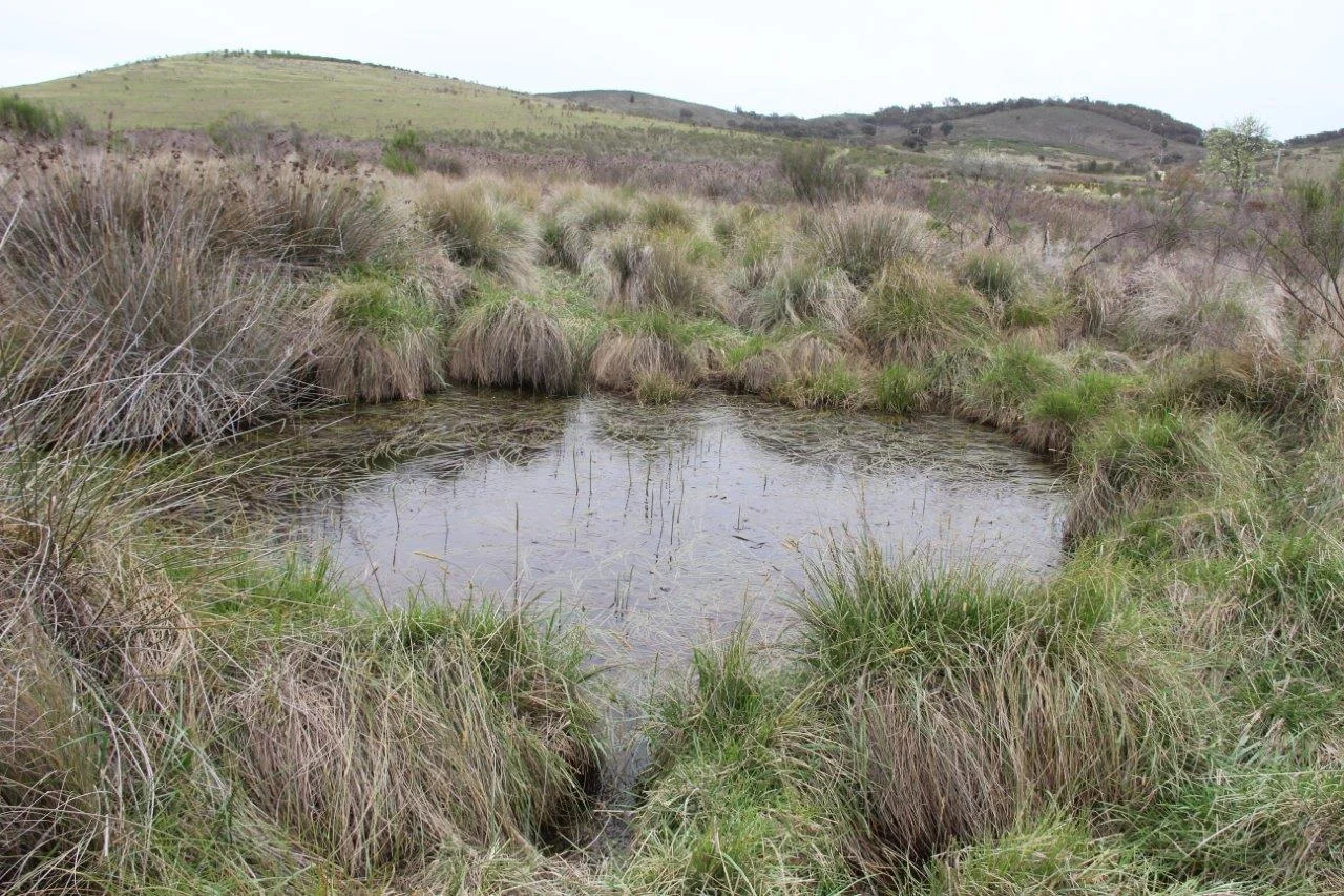 Additional image 14 of 2008 Kiowarrah Road, Bevendale NSW 2581