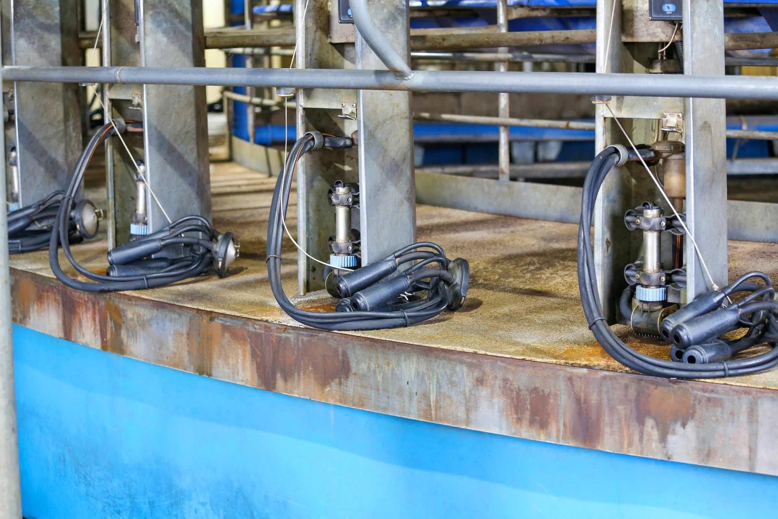 Additional image 14 of 401 Purrumbete Estate Road, Koallah VIC 3260