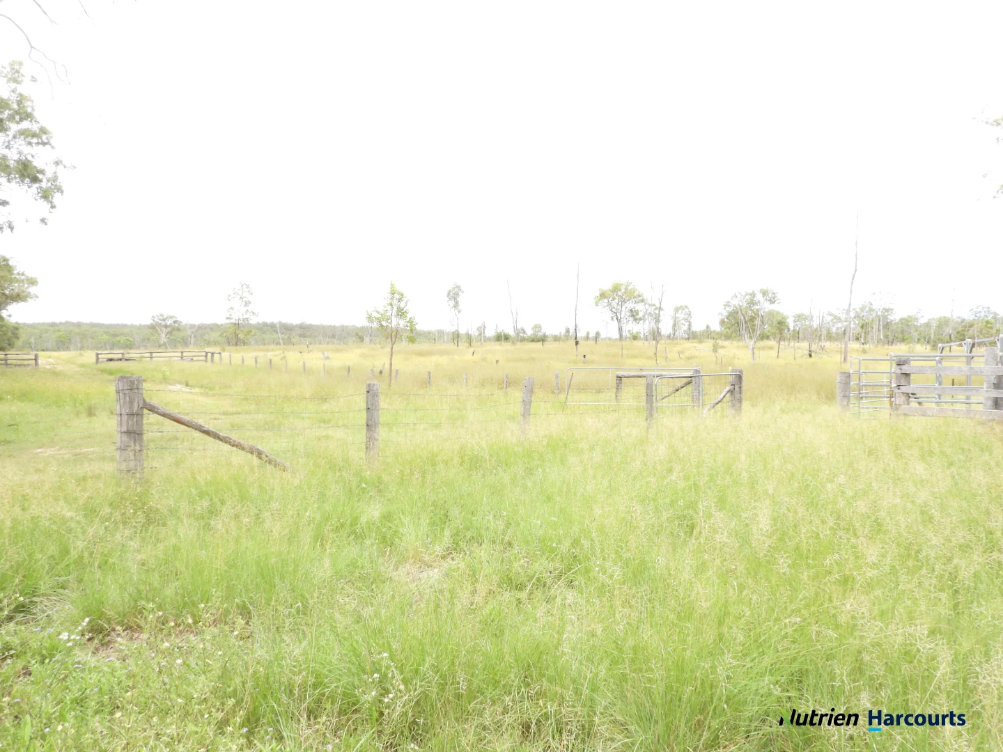 Additional image 29 of 754 Pedersens Road, Dangore QLD 4610