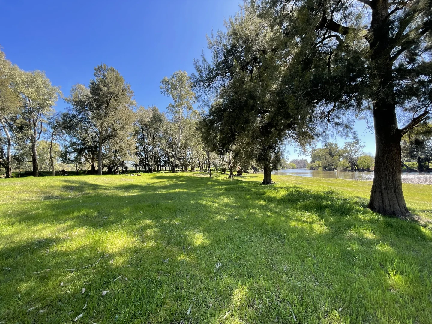 Additional image 39 of 44 Dodd Street, Gundagai NSW 2722