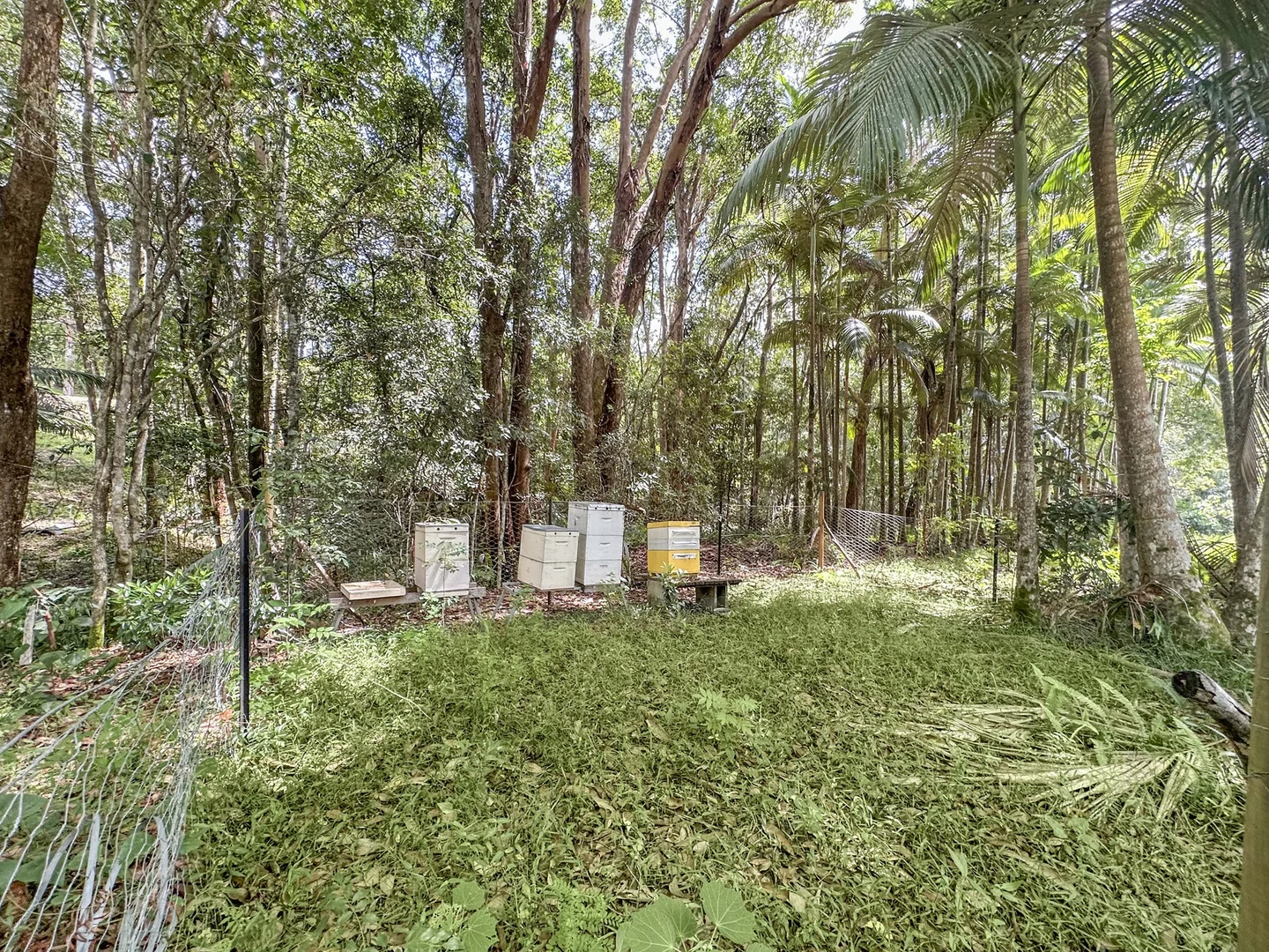 Additional image 6 of 92 Cash Road, Eumundi QLD 4562