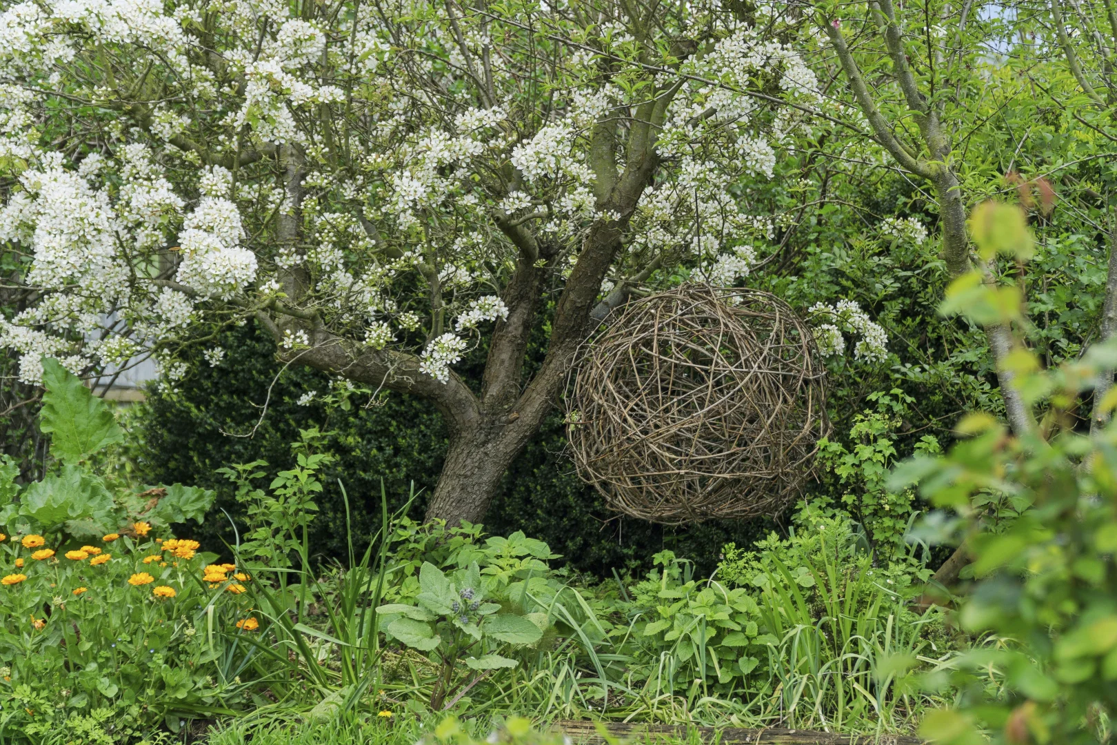 Additional image 24 of 331 Glenormiston Road, Glenormiston South VIC 3265