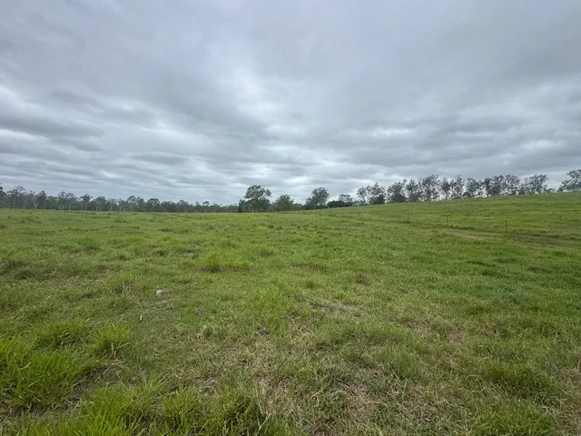Additional image 15 of 142 PERRY RIVER FARMS RD, Morganville QLD 4671