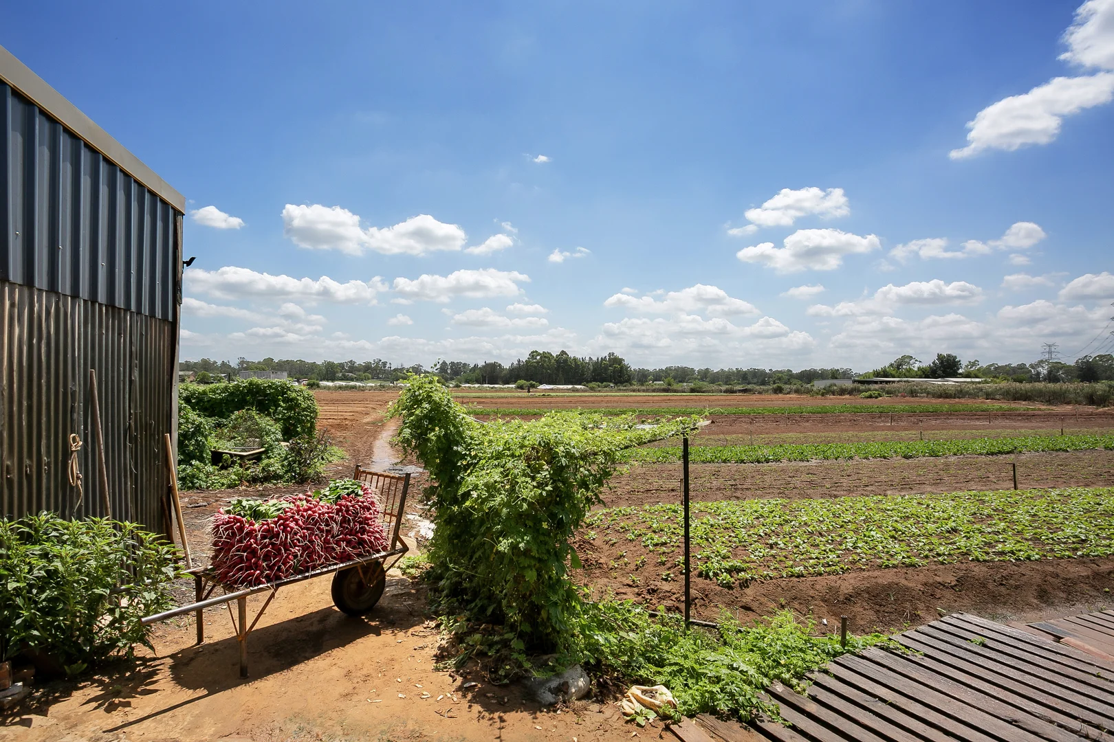 Additional image 13 of 150 Sixth Avenue, Llandilo NSW 2747