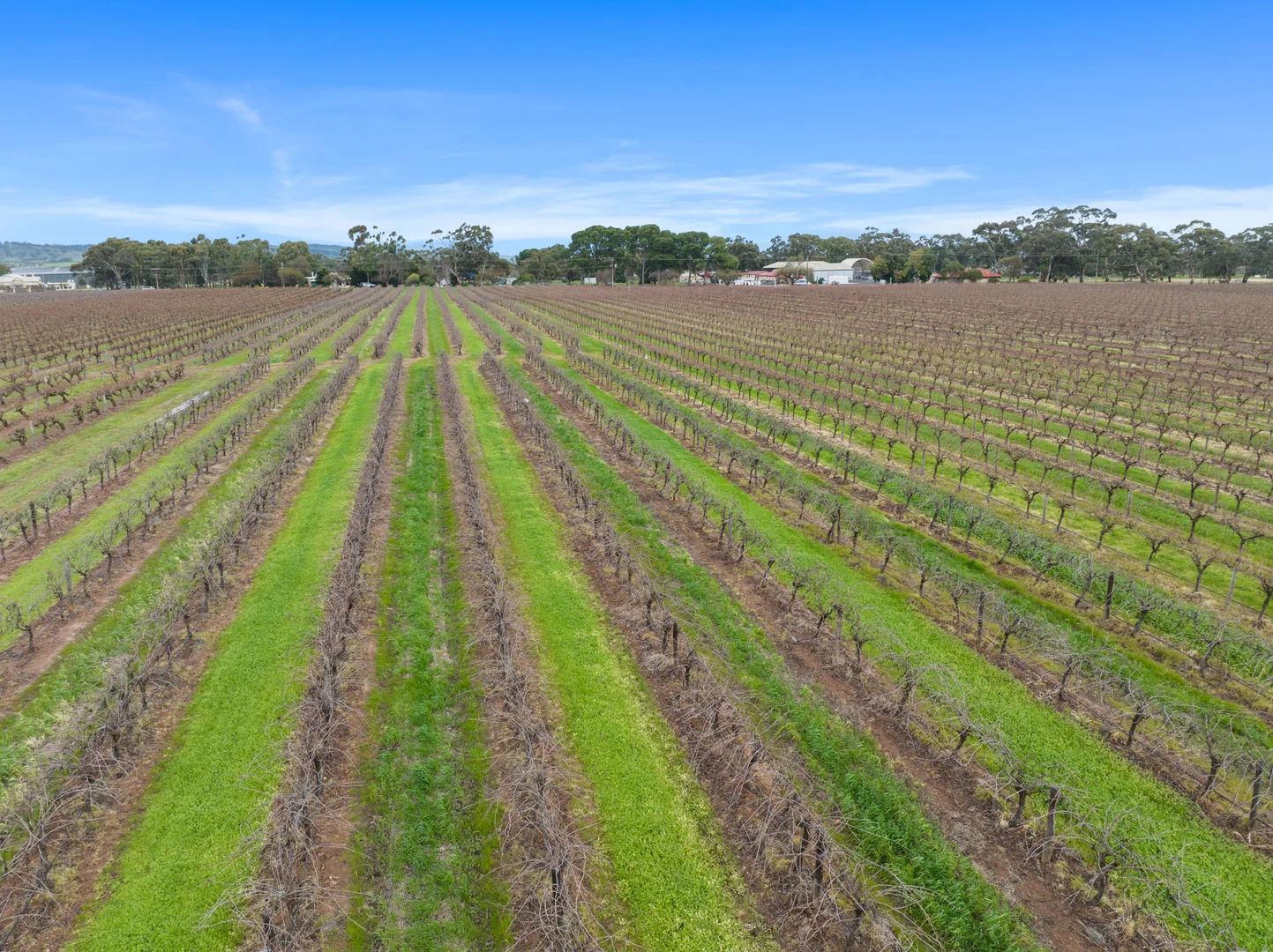 Additional image 14 of Lot 351 Angaston Road, Nuriootpa SA 5355