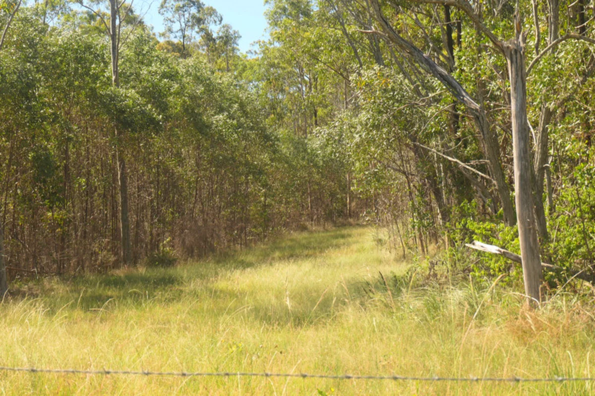 Additional image 7 of Bulldog NSW 2469