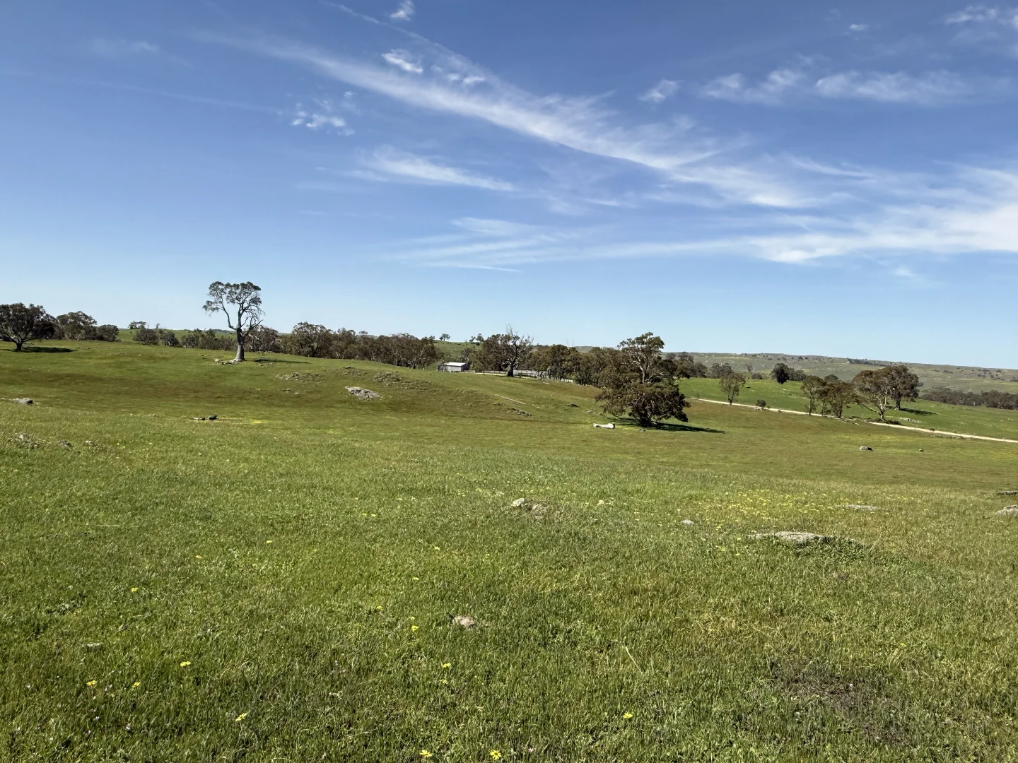 Additional image 12 of Lot 115 Mcgormans Road, Tungkillo SA 5236