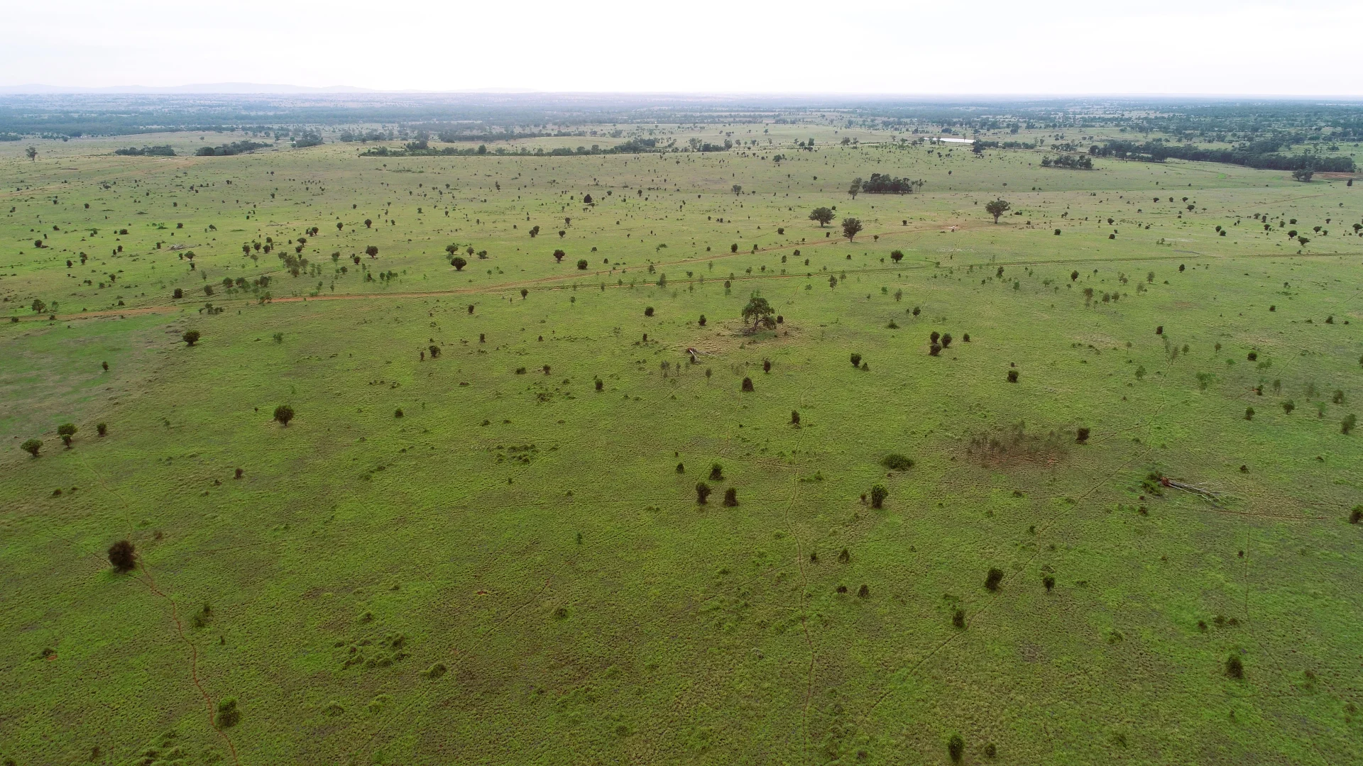 Additional image 24 of 'Bracco' Orallo Road, Roma QLD 4455