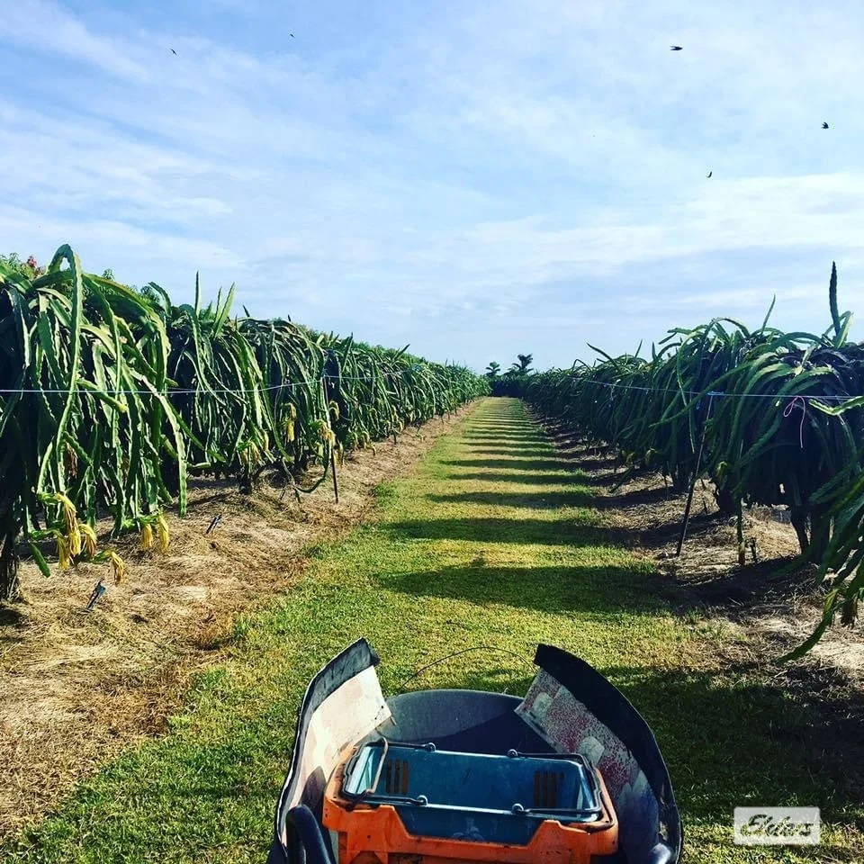Additional image 38 of 125 Buckley Road, Lambells Lagoon NT 0822