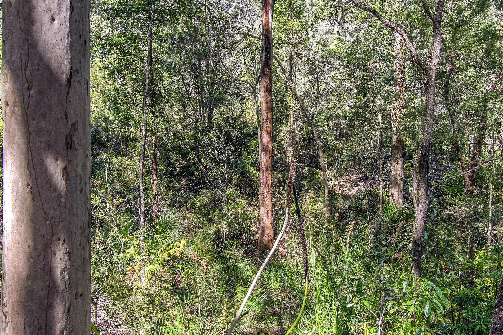 Additional image 6 of 167 Burralow Road, Kurrajong Heights NSW 2758