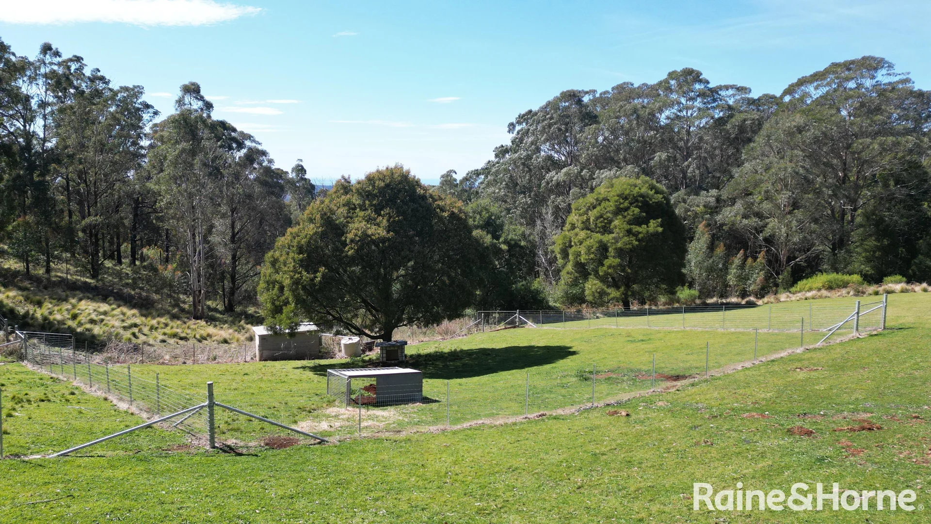 Additional image 25 of 36 Sturgiss Road, Sassafras NSW 2622