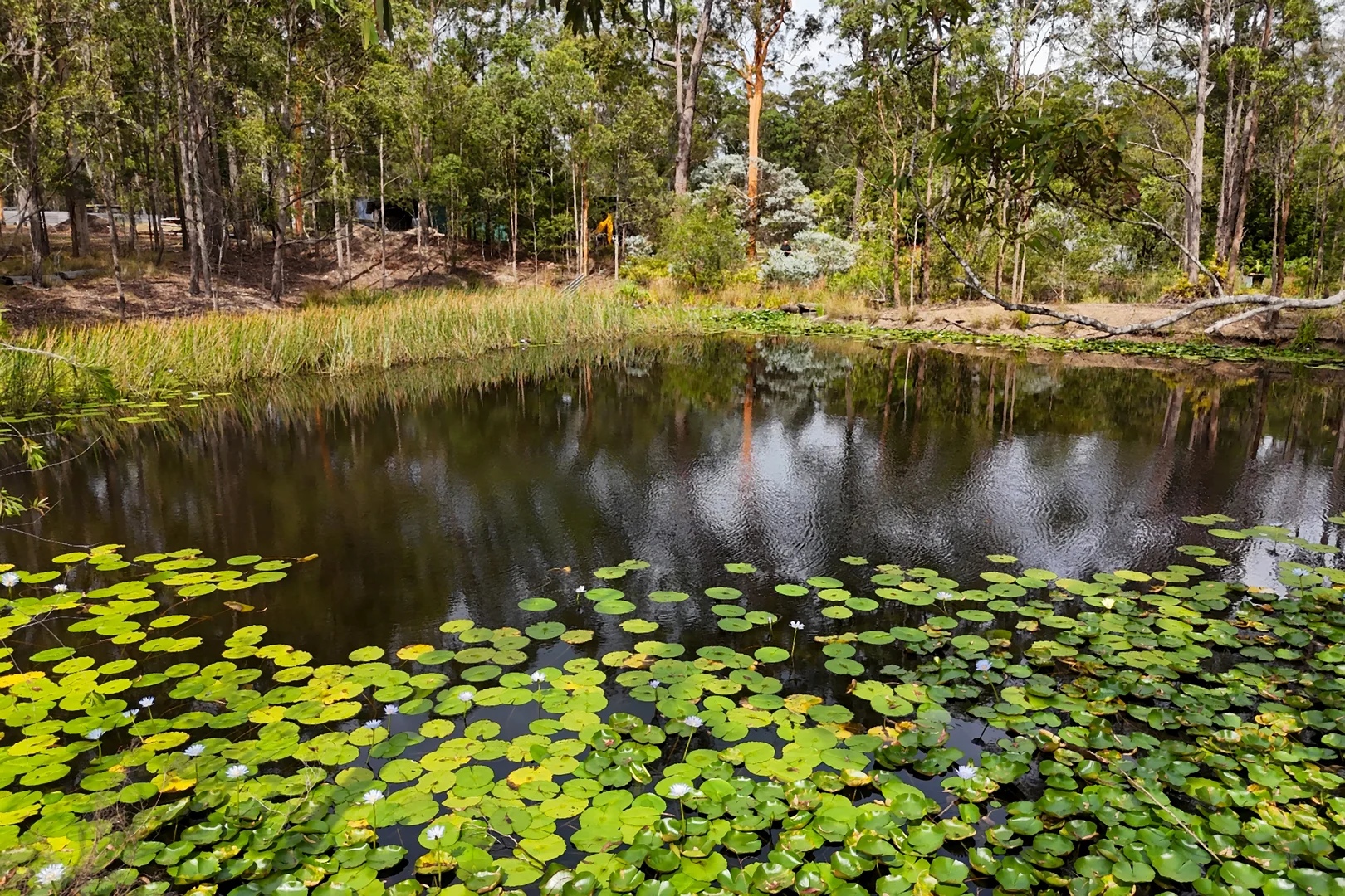 Additional image 36 of 75 Smiths Creek Road, Kundabung NSW 2441