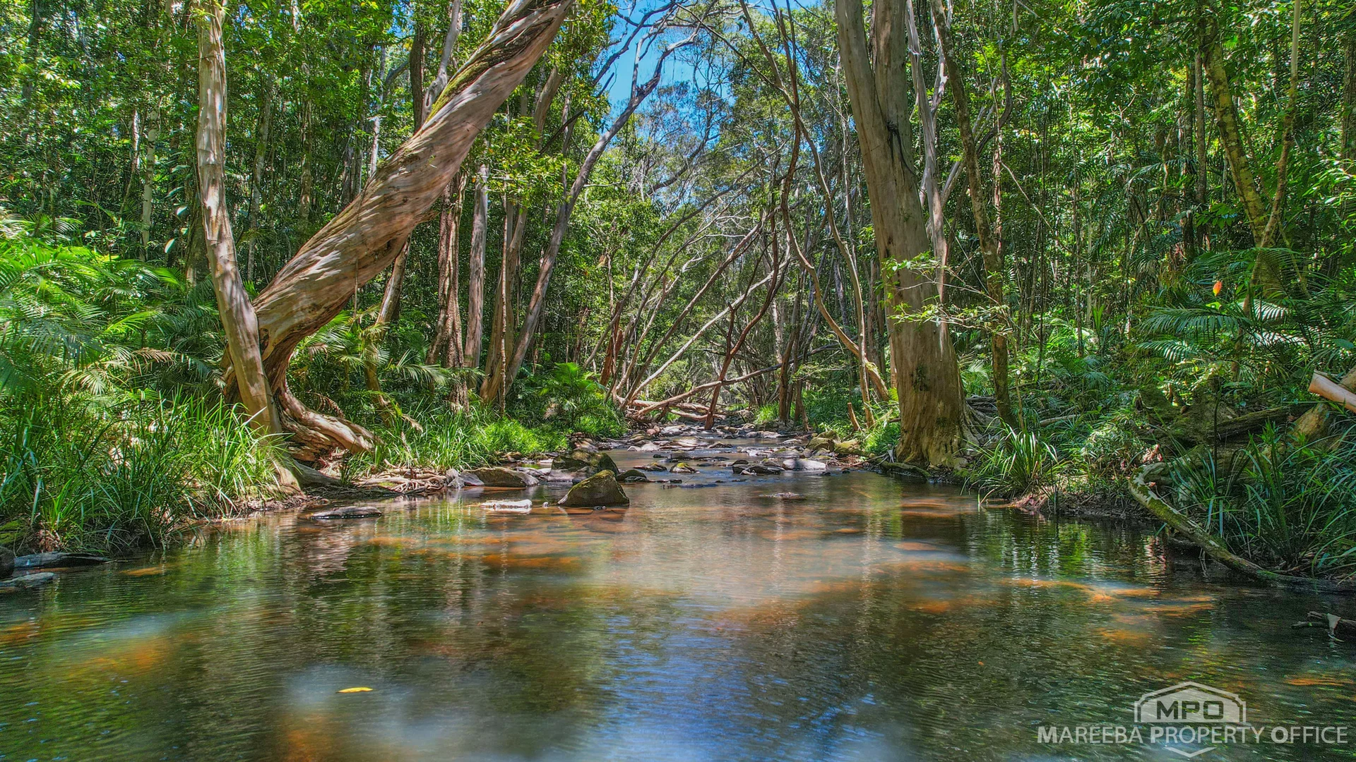 Additional image 32 of 4532 Black Mountain Road, Julatten QLD 4871