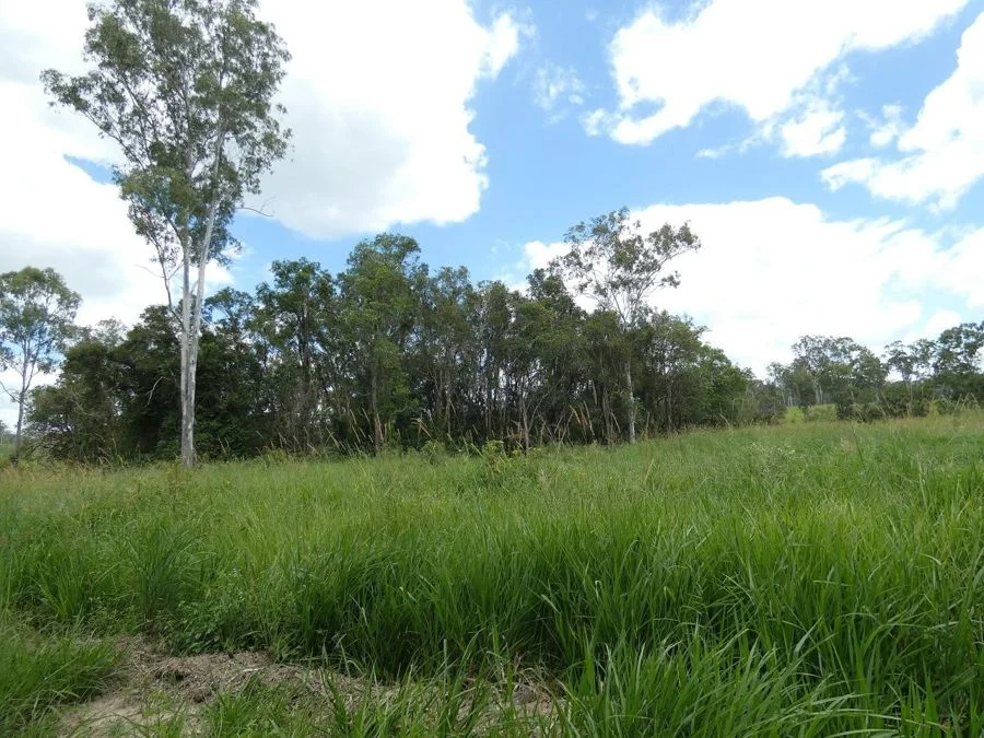 Additional image 12 of Lot 43 Moolyung Road, Waterloo QLD 4673