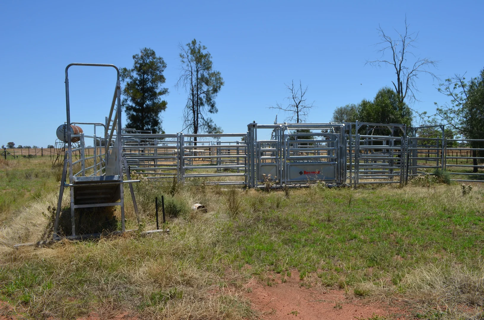 Additional image 16 of 'Mentone' 1521 Bruie Plains Road, Trundle NSW 2875