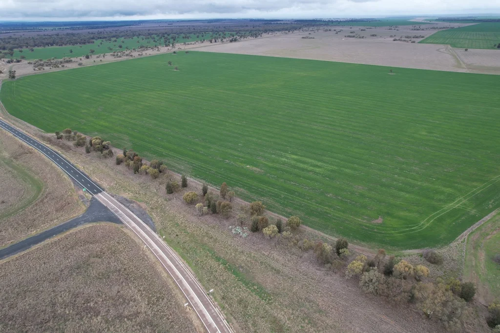 Additional image 11 of 'Merungle' 6689 Mid Western Hwy, Marsden, West Wyalong NSW 2671