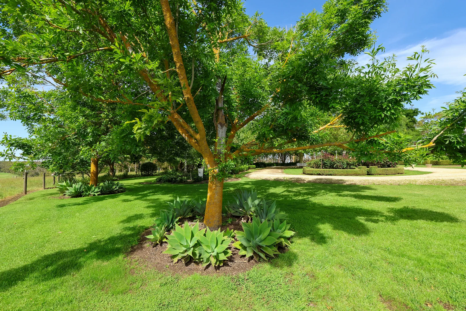 Additional image 14 of 335 Rollos Road, Panmure VIC 3265