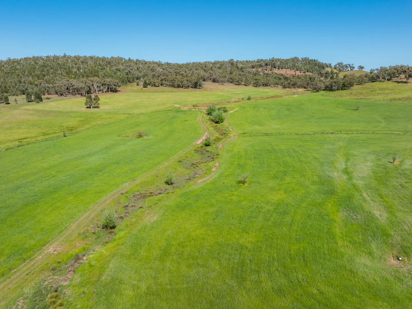 Additional image 40 of 92 Campbells Lane, Canowindra NSW 2804