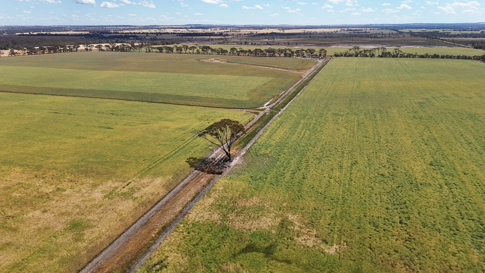 Additional image 4 of Kolonga Downs 175 McAuliffe Road, Katanning WA 6317