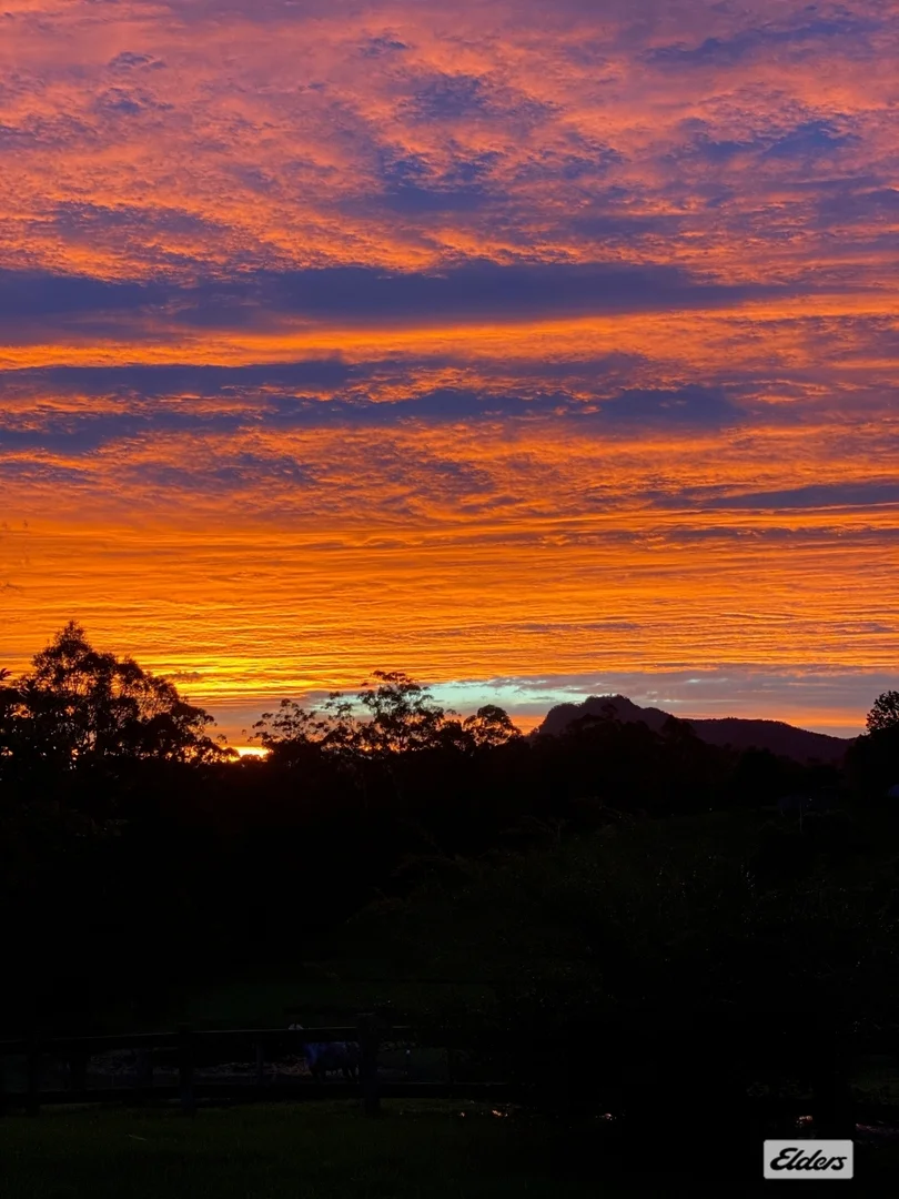 Additional image 24 of Upper Lansdowne NSW 2430