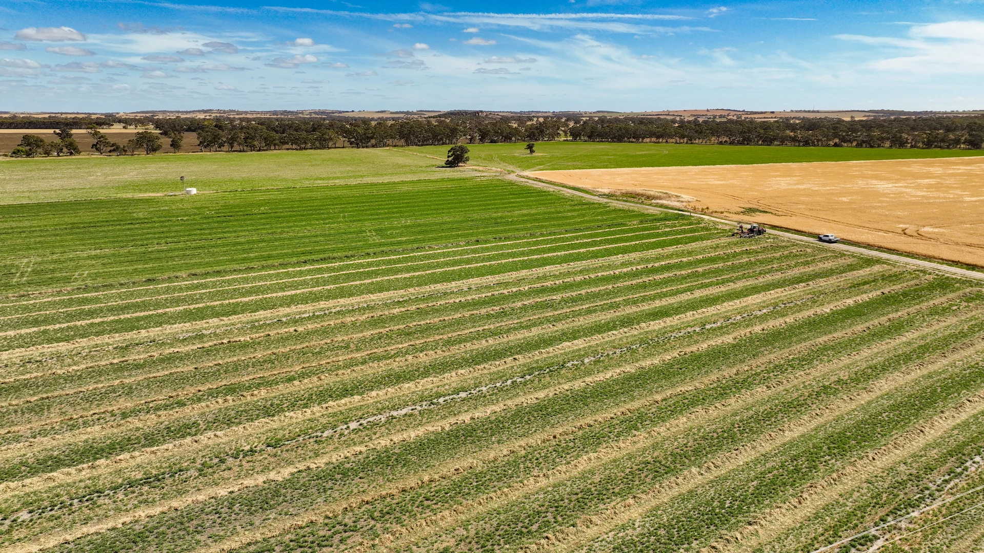 Additional image 8 of 2212 CAREW ROAD, Mundulla SA 5270