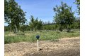 Additional image 25 of 18525 Farquhar Rd, Cottonwood, CA, 96022