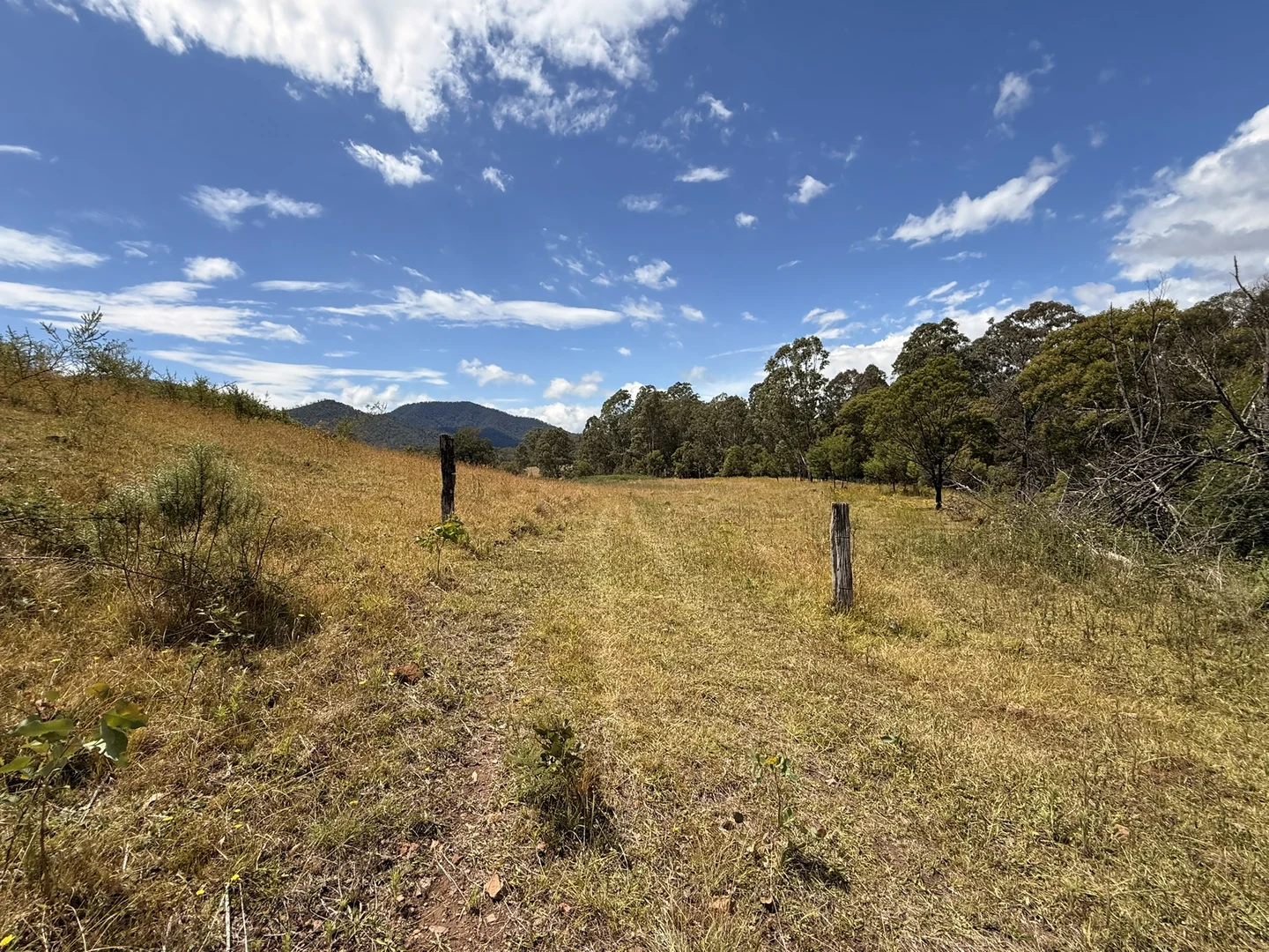 Additional image 30 of 3/1076 Neringla Road, Braidwood NSW 2622