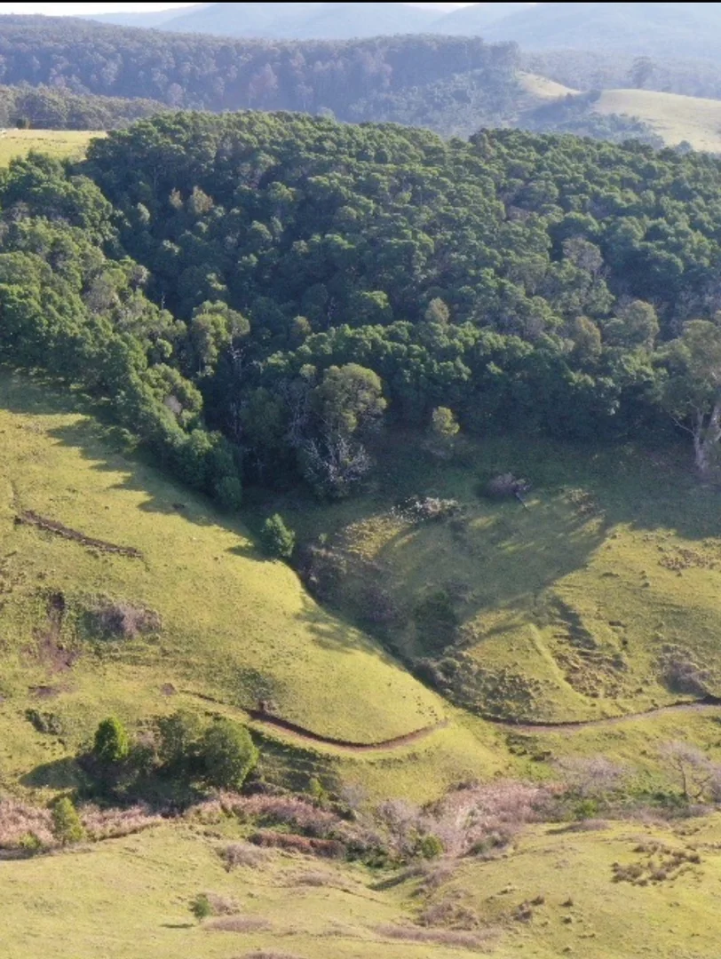 Additional image 12 of Lot 23 Fourter Road, Nethercote NSW 2549