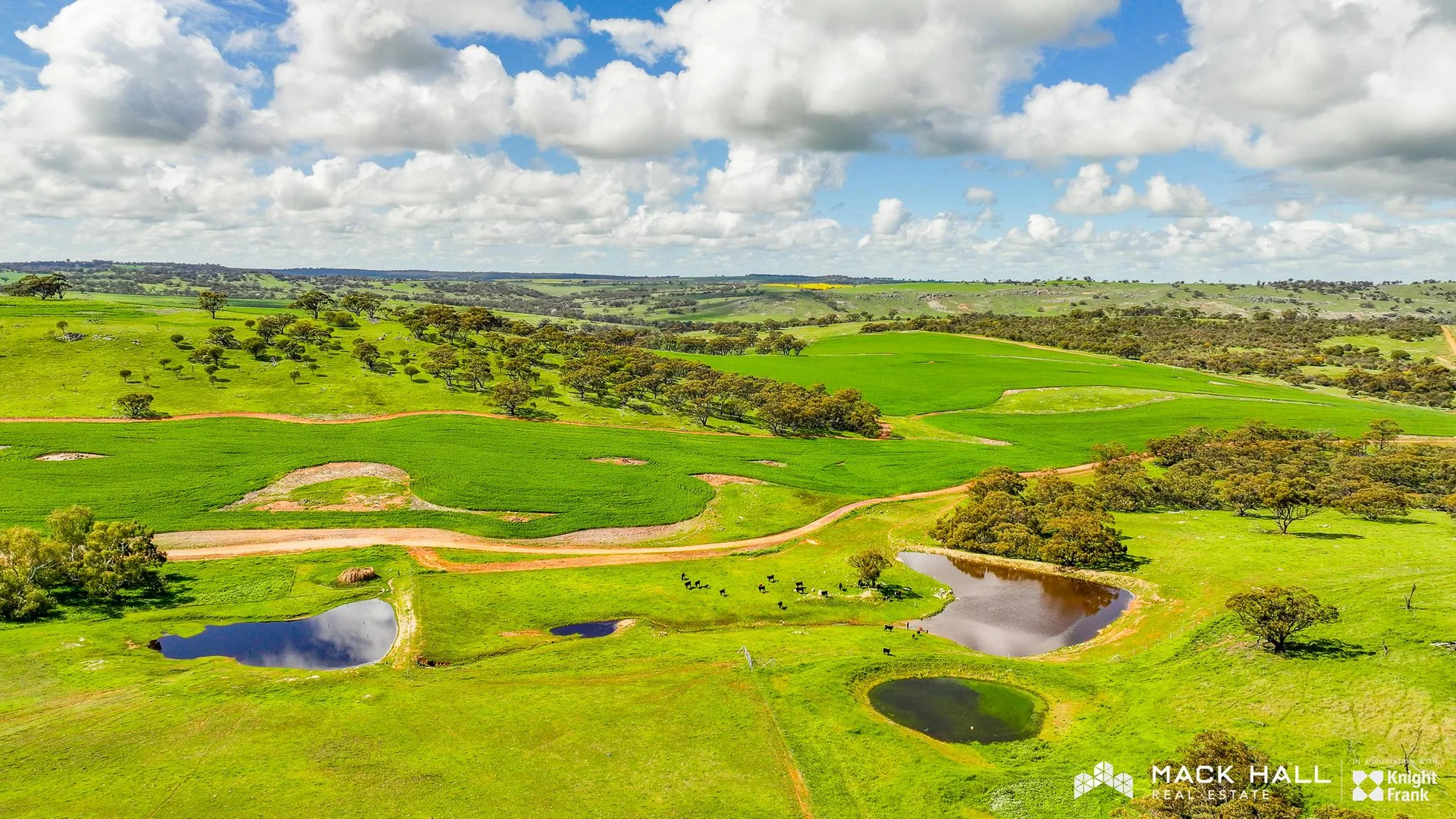 Additional image 8 of 211 Goomalling-Toodyay Road, Nunile WA 6566