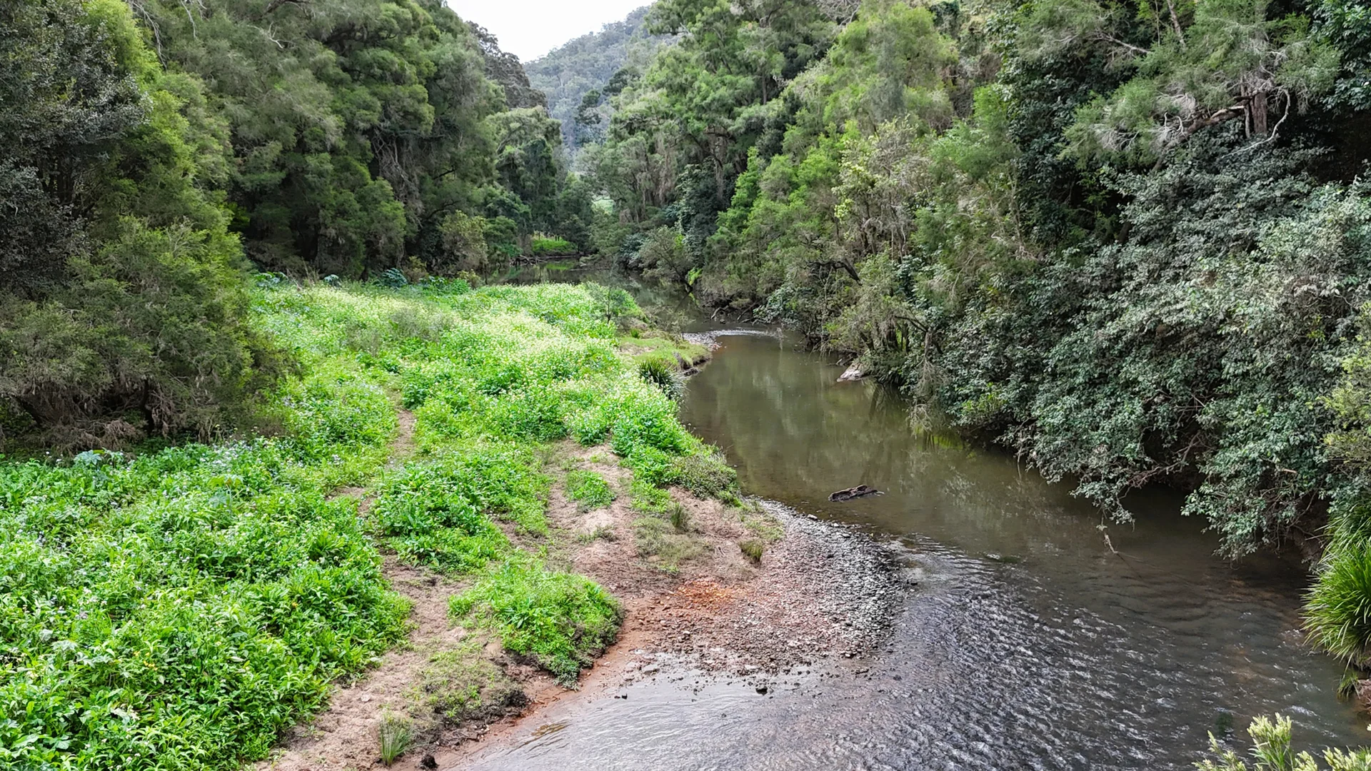 Additional image 7 of 12 Girraween Road, Rathdowney QLD 4287