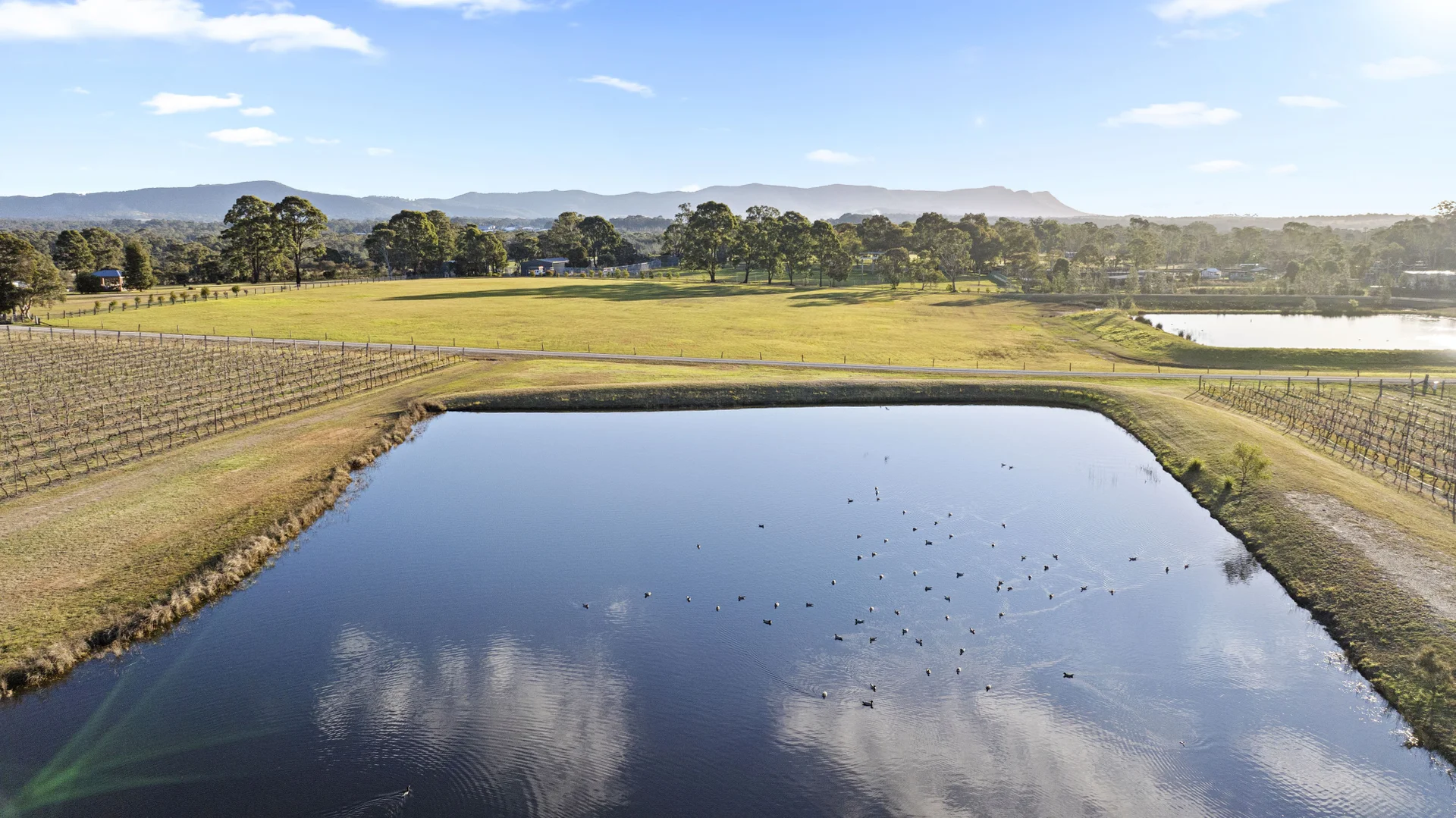 Additional image 20 of 168 Lomas Lane, Nulkaba NSW 2325