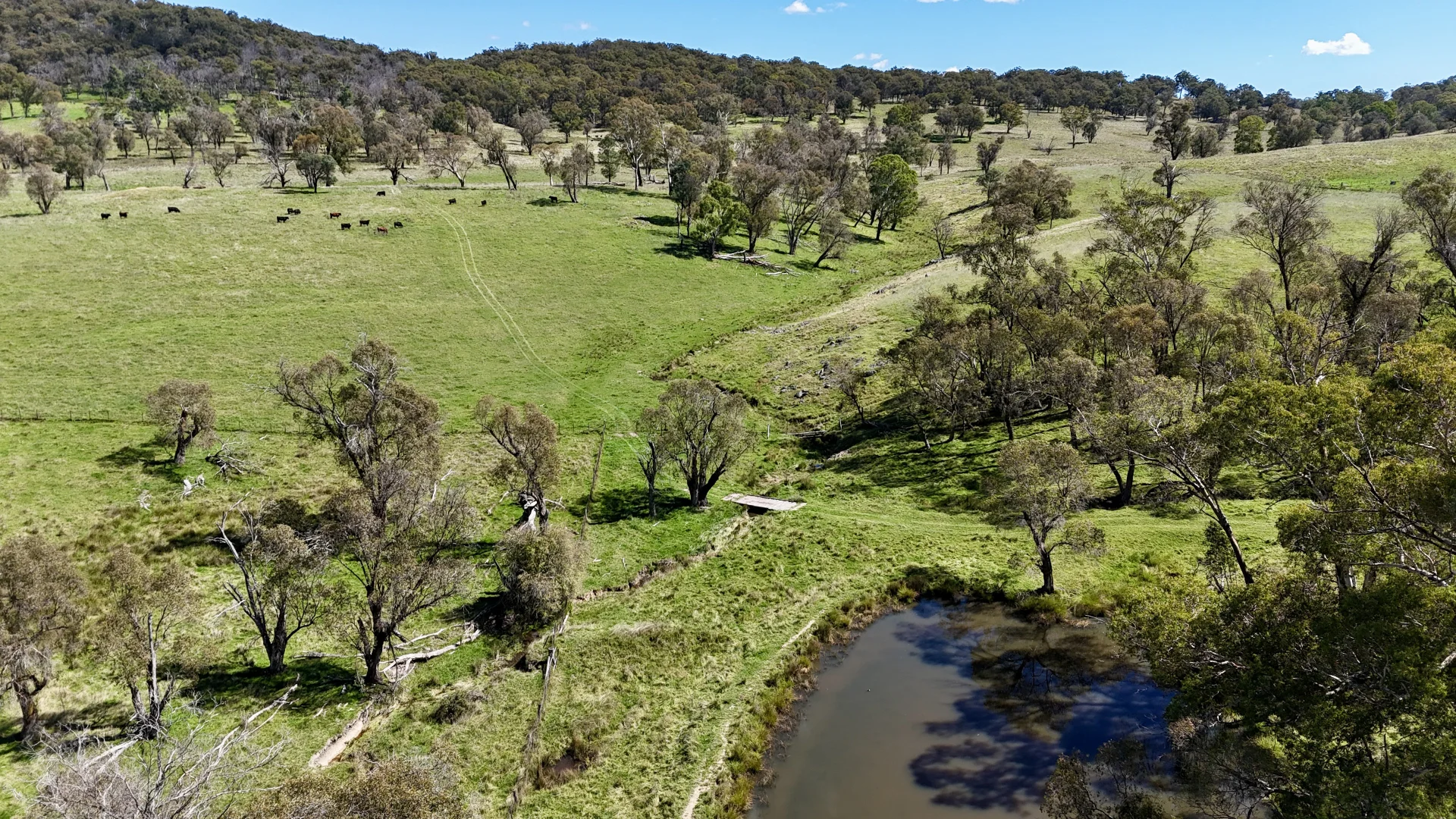 Additional image 4 of 3256 Niangala Rd, Walcha NSW 2354